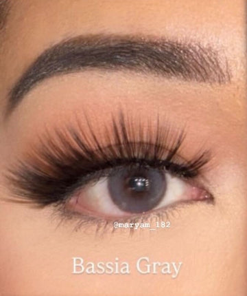 Bassia Grey
