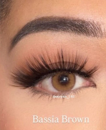 Bassia Brown