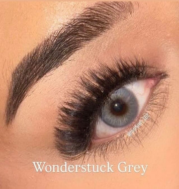 Wonderstruck Grey