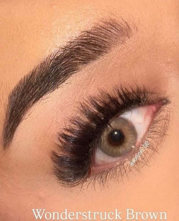 Wonderstruck Brown