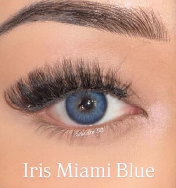 Iris Miami Blue
