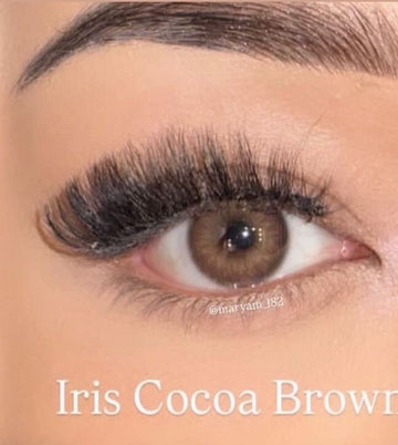 Iris Coco Brown